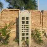 Tree Guard